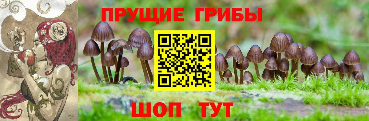 Заводоуковск  Галлюциногенные грибы ЛСД  купить наркотики цена  Вход с VPN 