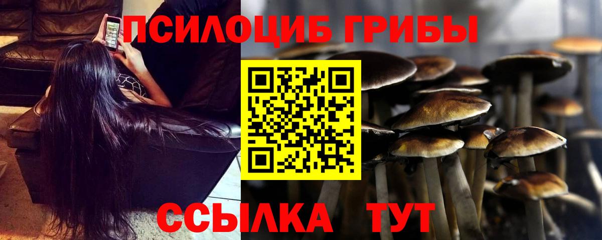 Псилоцибиновые грибы прущие грибы Заводоуковск