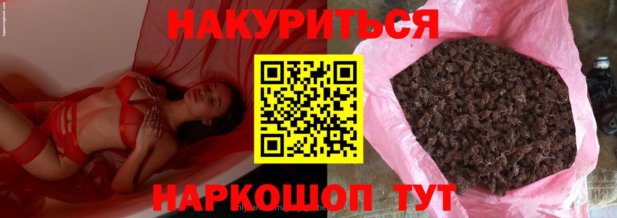Заводоуковск  Бошки Шишки SATIVA & INDICA  Канабис конопля  Вход с VPN 